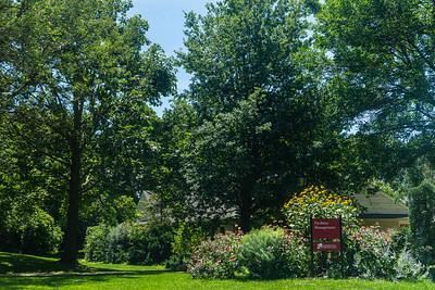 Arboretum view