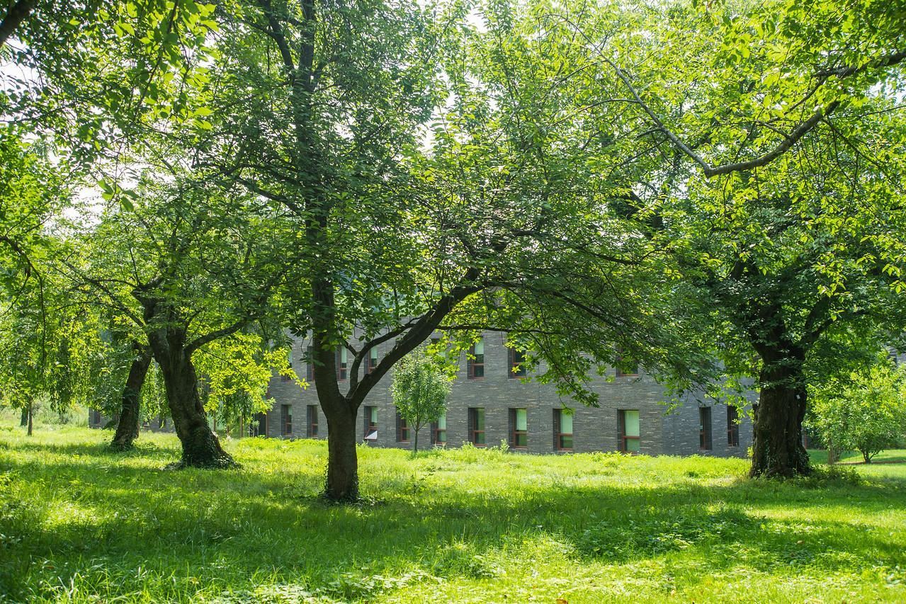 Arboretum view